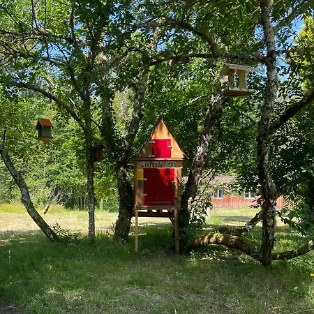 De Charme En Pleine Foret - Domaine Temali Labouheyre